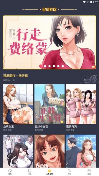 流星集漫画